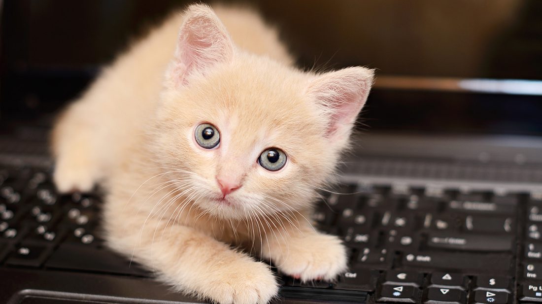 3 Easy Strategies to Make Your Blog Posts More Interactive